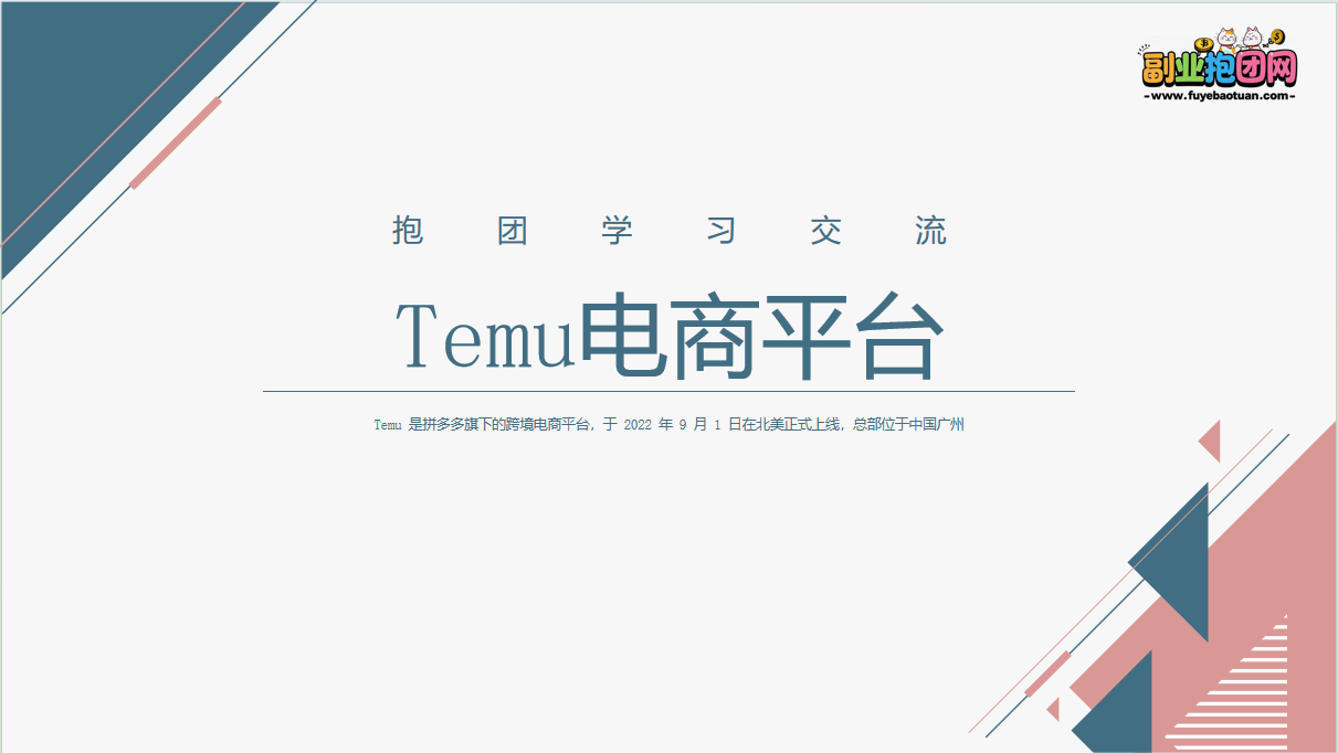 Temu电商平台—外贸平台抱团学习-副业抱团网